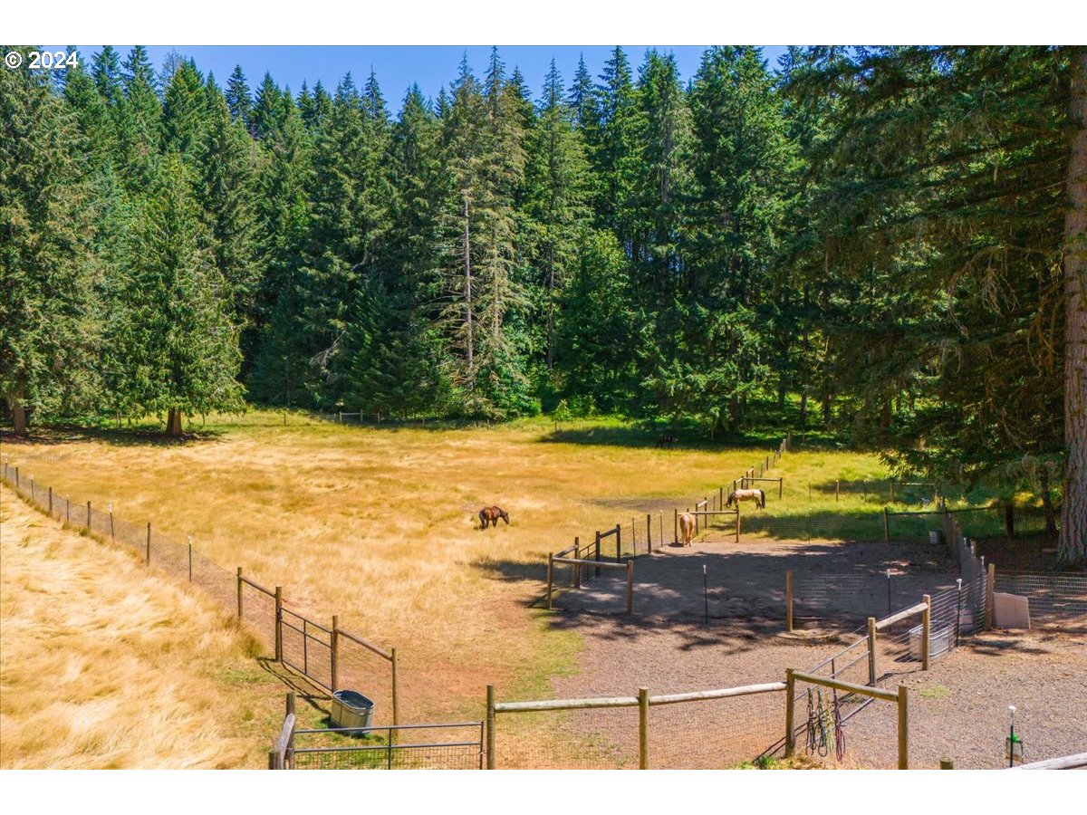 22912 Northwest Pihl Road Banks, OR 97106 - Photo 41 of 48 Gallery Image 41