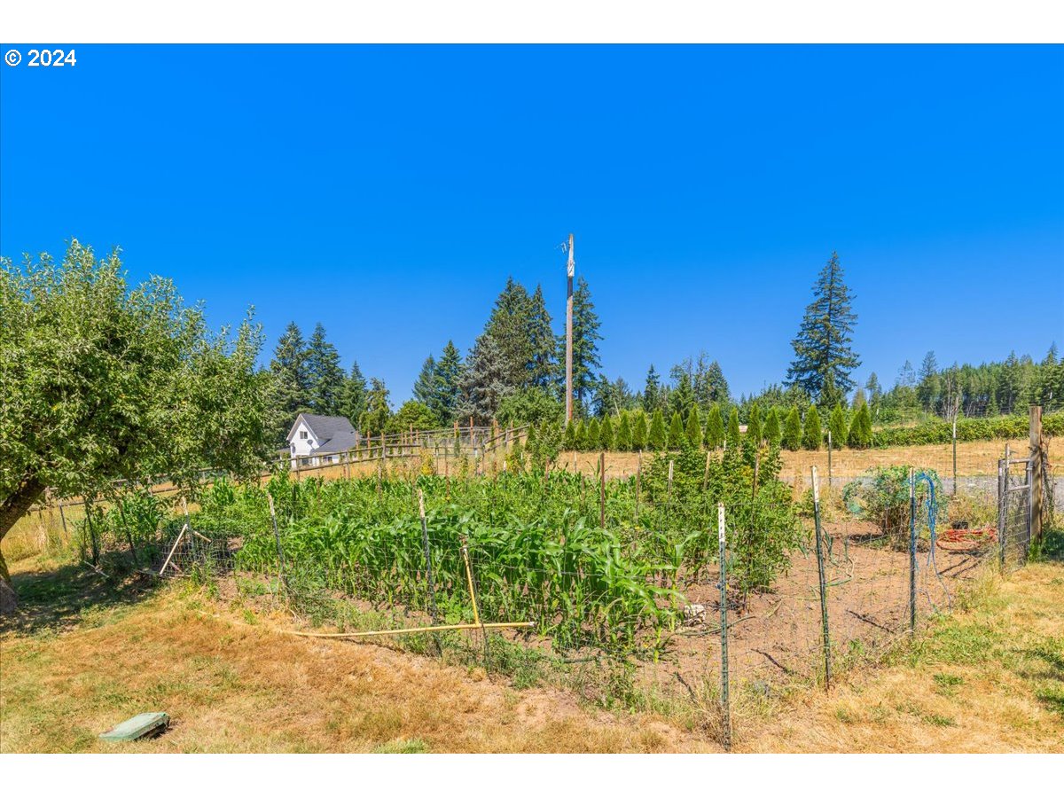 22912 Northwest Pihl Road Banks, OR 97106 - Photo 43 of 48 Gallery Image 43