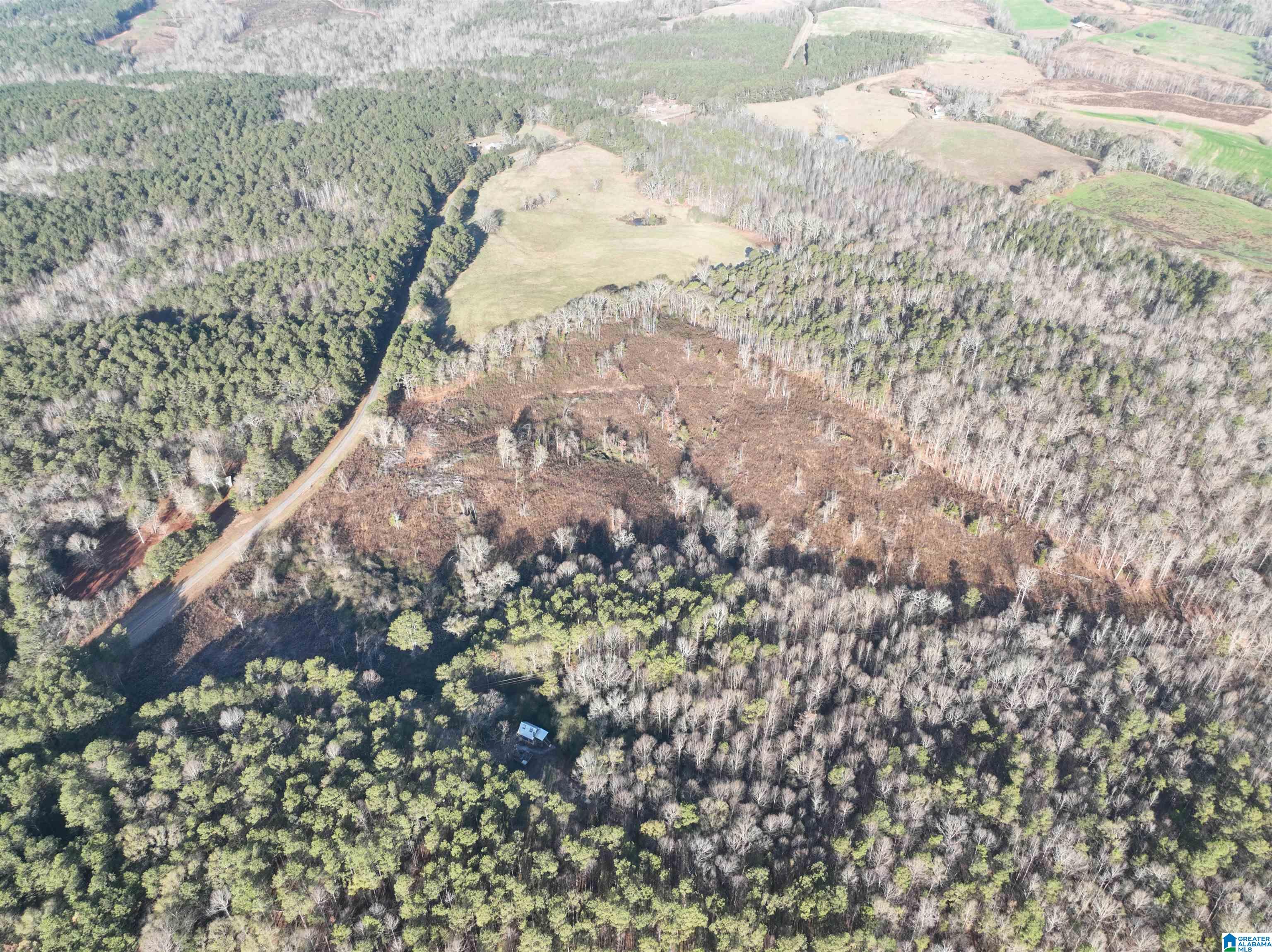532 County Road Woodland, AL 36280 - Photo 6 of 12