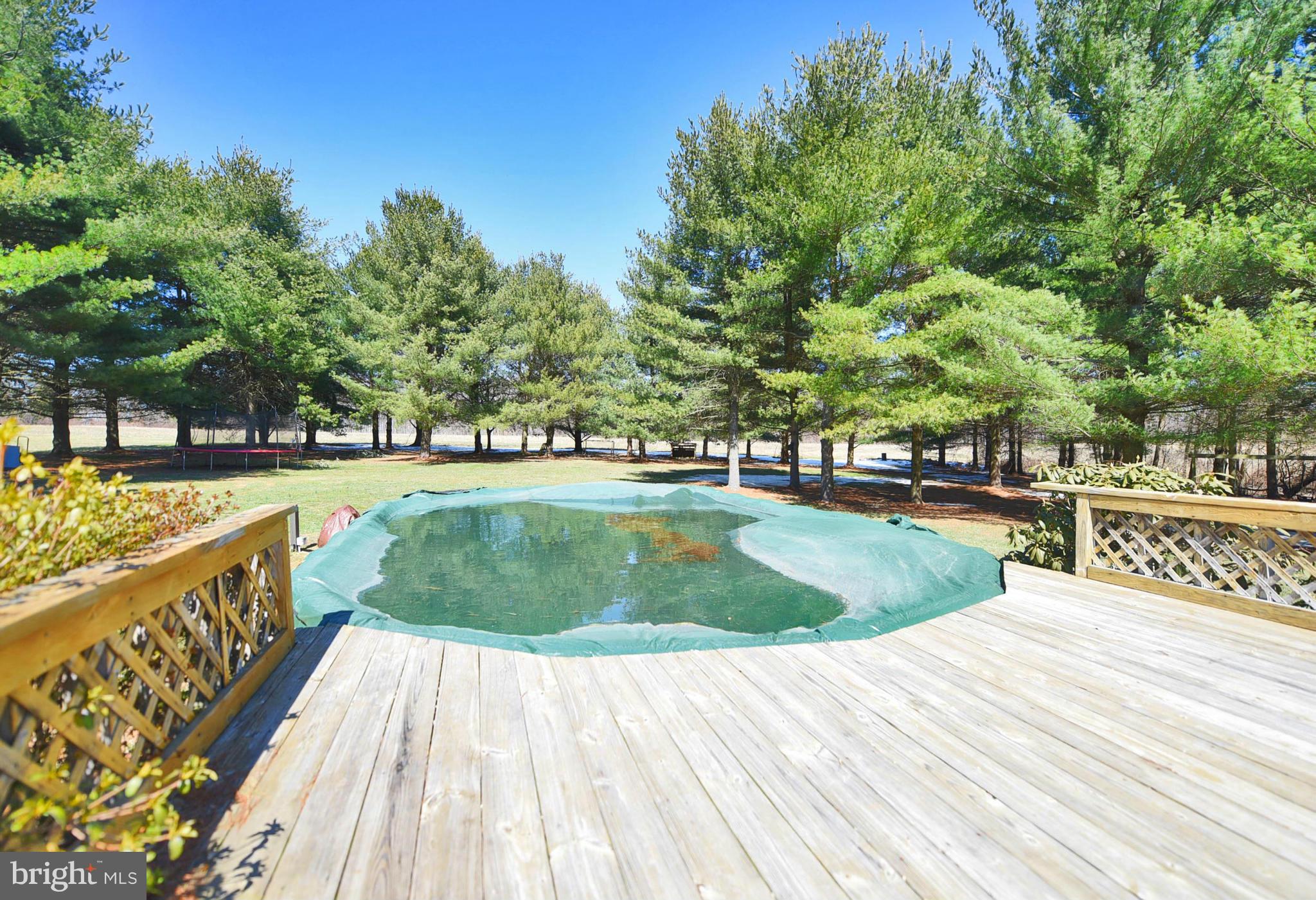911 Ridge Road Rising Sun, MD 21911 - Photo 5 of 30 a view of a swimming pool with a backyard