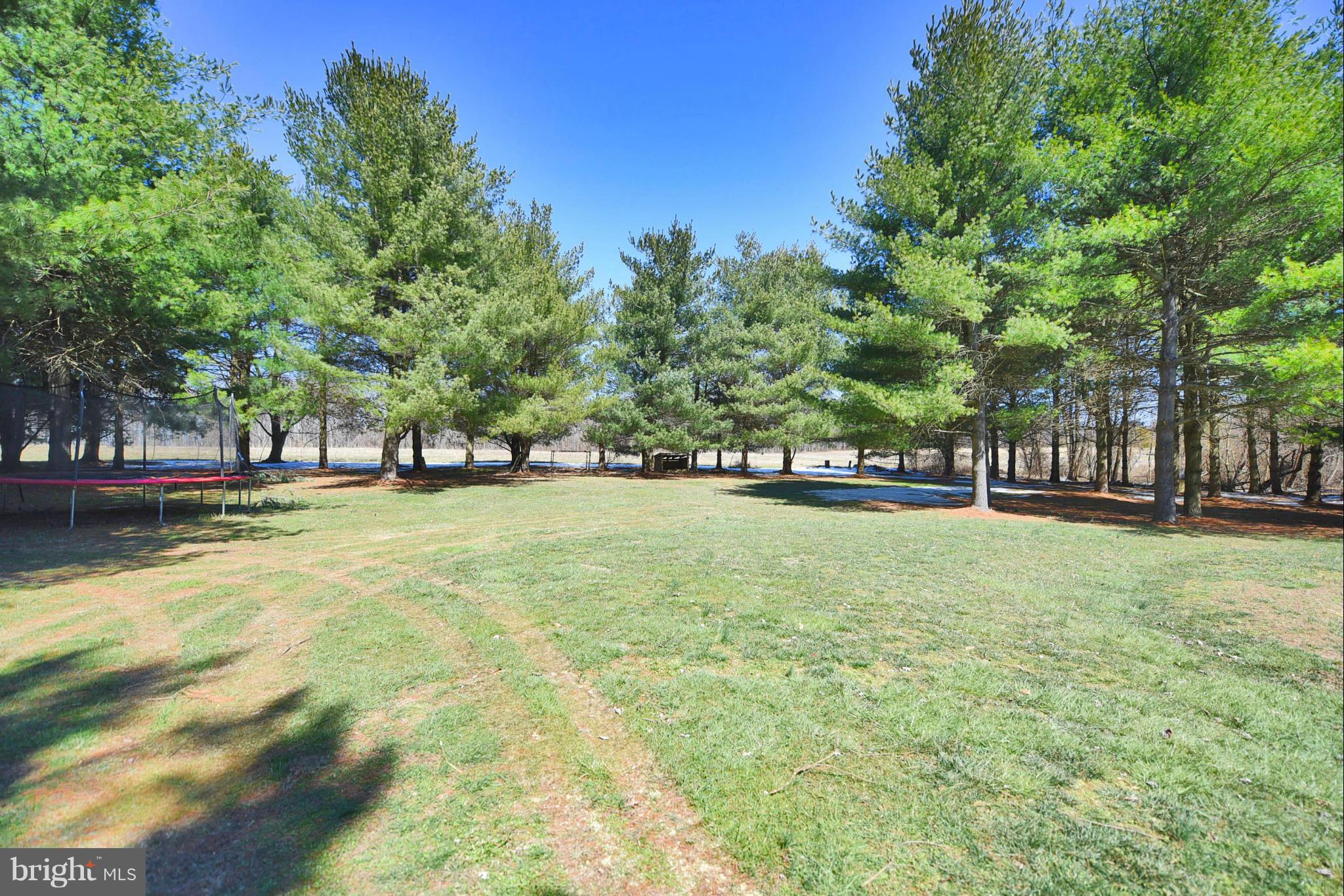 911 Ridge Road Rising Sun, MD 21911 - Photo 8 of 30 a view of swimming pool with outdoor space and trees in the background