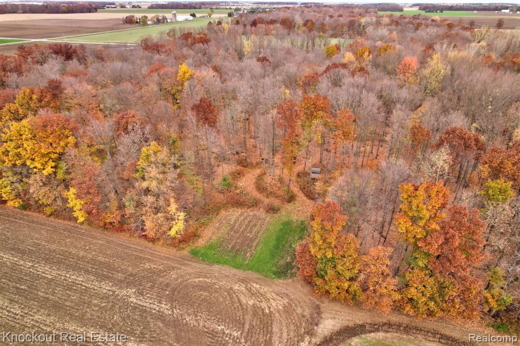 8238 Roedel Road Frankenmuth, MI 48734 - Photo 56 of 59 Gallery Image 56