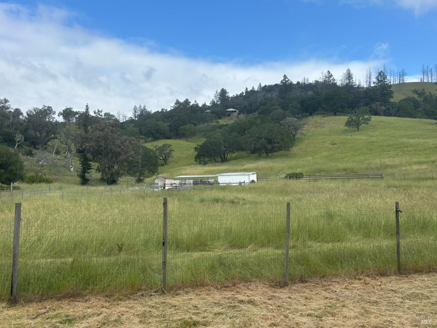 6971 St Helena Road Santa Rosa, CA 95404 - Photo 5 of 34