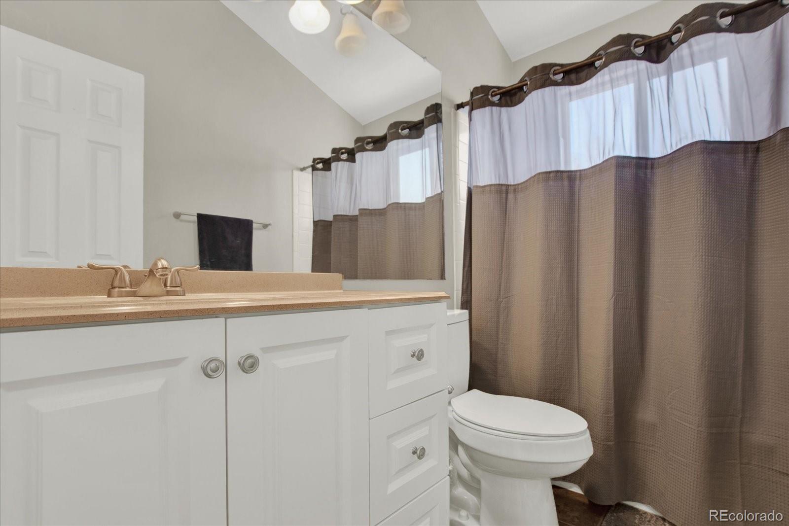 970 West Sage Sparrow Circle Highlands Ranch, CO 80129 - Photo 24 of 42
