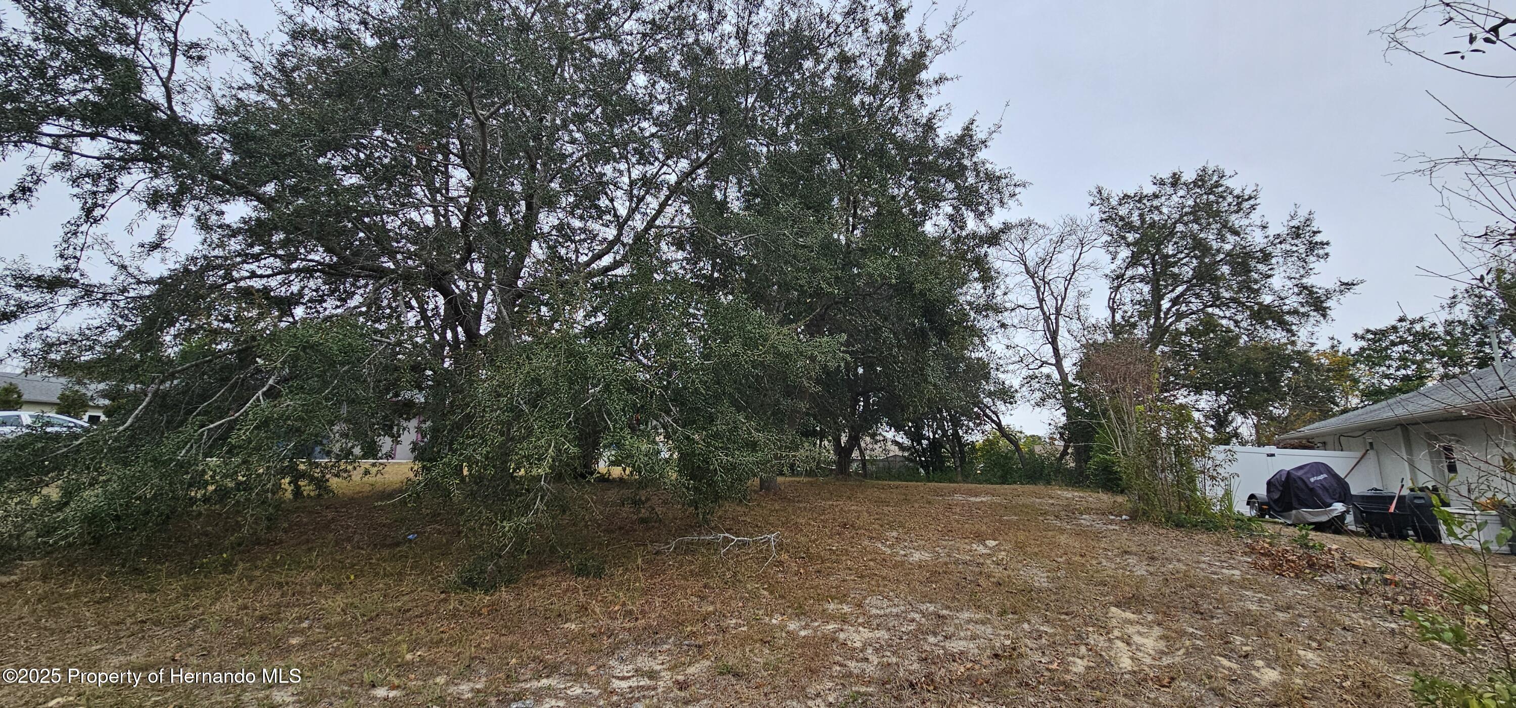 0 Abbeville Street Spring Hill, FL 34608 - Photo 10 of 14