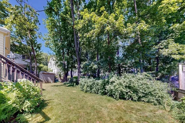 a view of a backyard with potted plants and large trees