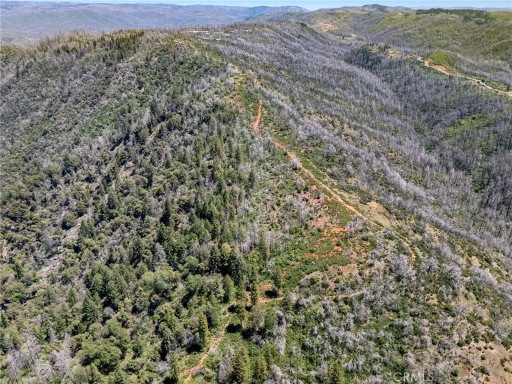 0 Stephens Ridge Road Berry Creek, CA 95916 - Photo 4 of 8