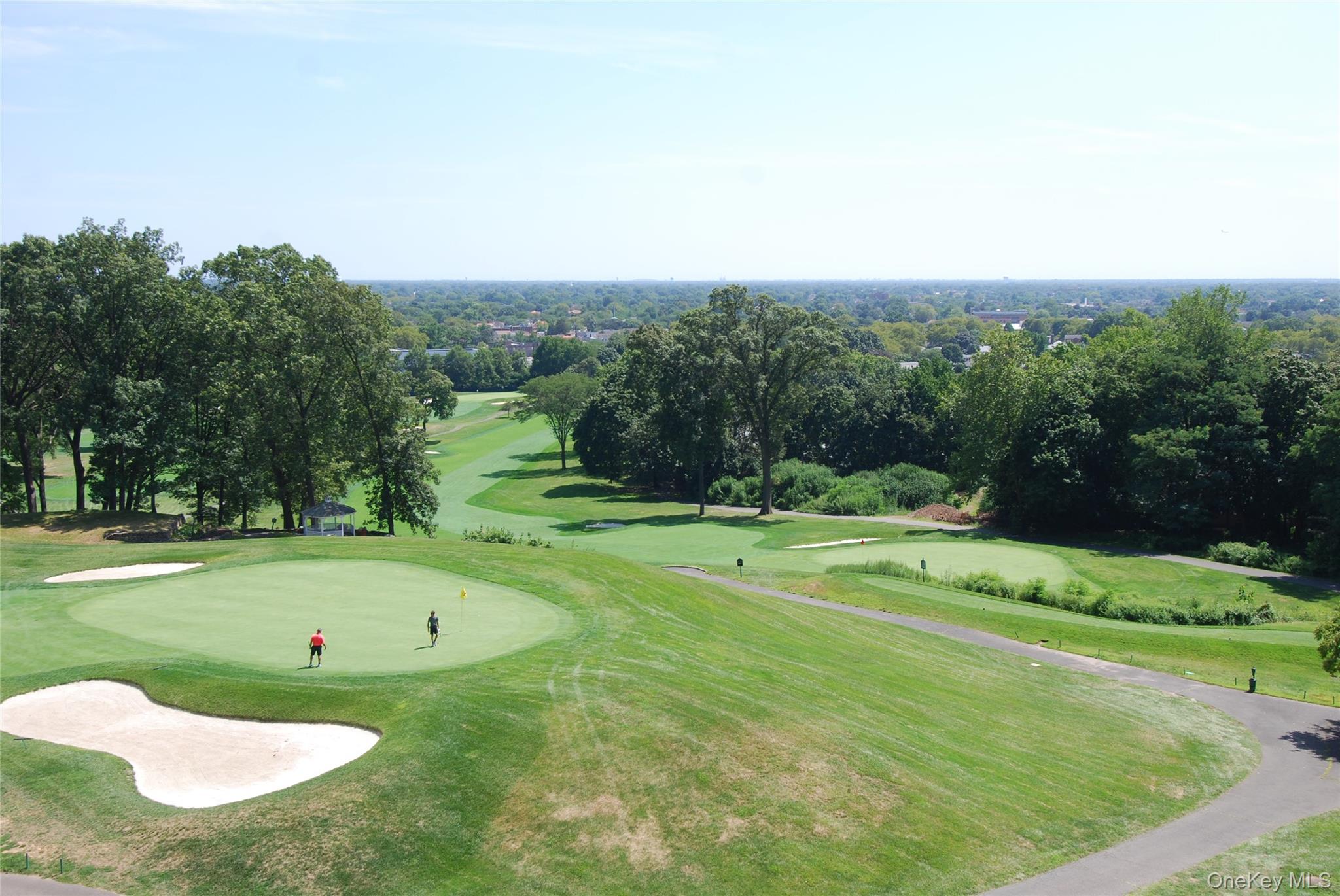269 Grand Central Parkway, Unit 5V Queens, NY 11005 - Photo 19 of 19 a view of a golf course