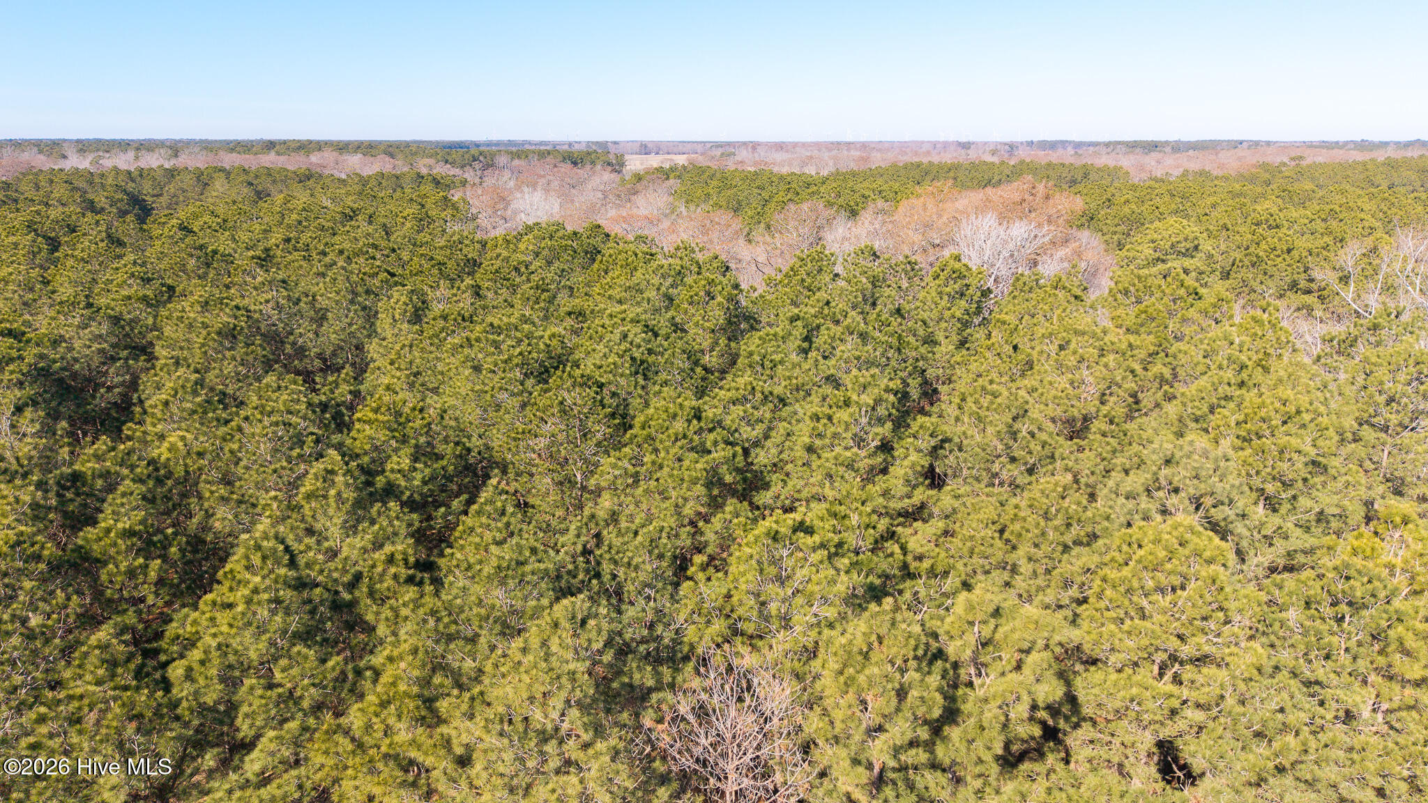 285 Riversound Drive Edenton, NC 27932 - Photo 4 of 9 285 Riversound Dr
