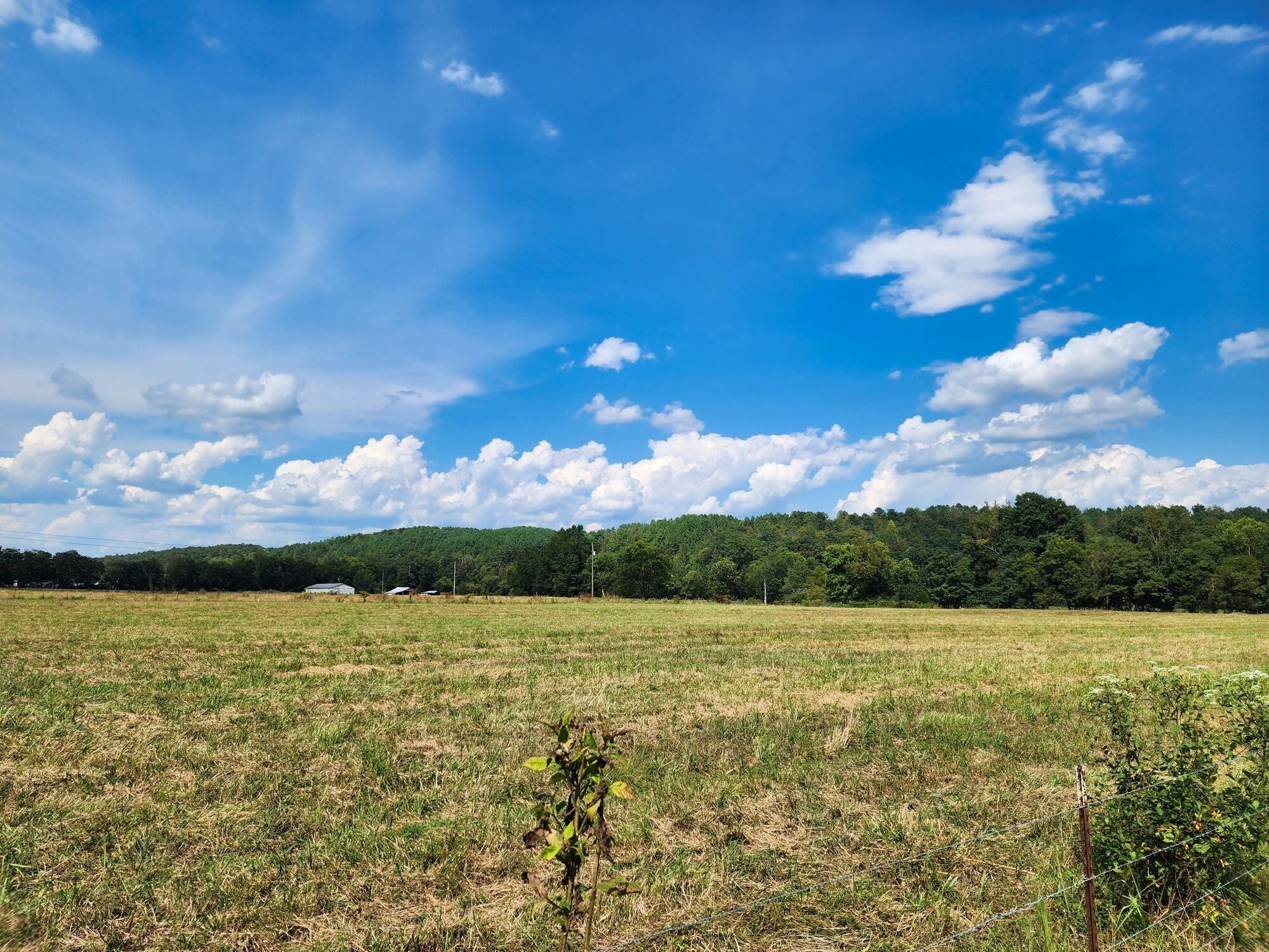 8312 Middle Butler Road Cypress Inn, TN 38452 - Photo 24 of 53 Gallery Image 24