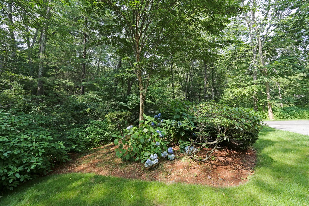 5 Whiting Road Framingham, MA 01701 - Photo 5 of 26 Gallery Image 5