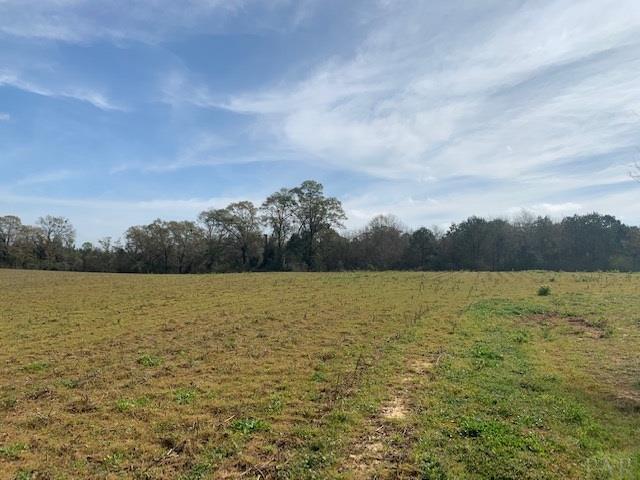 590-blk Brazzell Hill Road Atmore, AL 36502 - Photo 1 of 12 Gallery Image 1