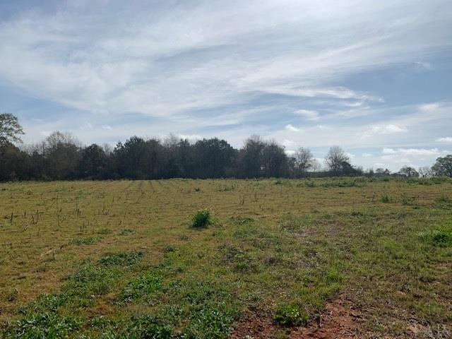 590-blk Brazzell Hill Road Atmore, AL 36502 - Photo 2 of 12 Gallery Image 2