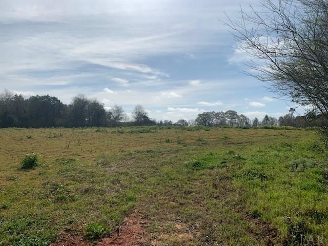 590-blk Brazzell Hill Road Atmore, AL 36502 - Photo 3 of 12 Gallery Image 3