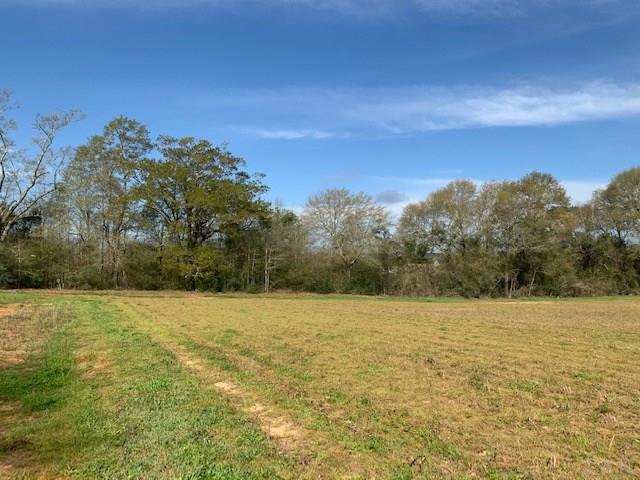 590-blk Brazzell Hill Road Atmore, AL 36502 - Photo 4 of 12 Gallery Image 4