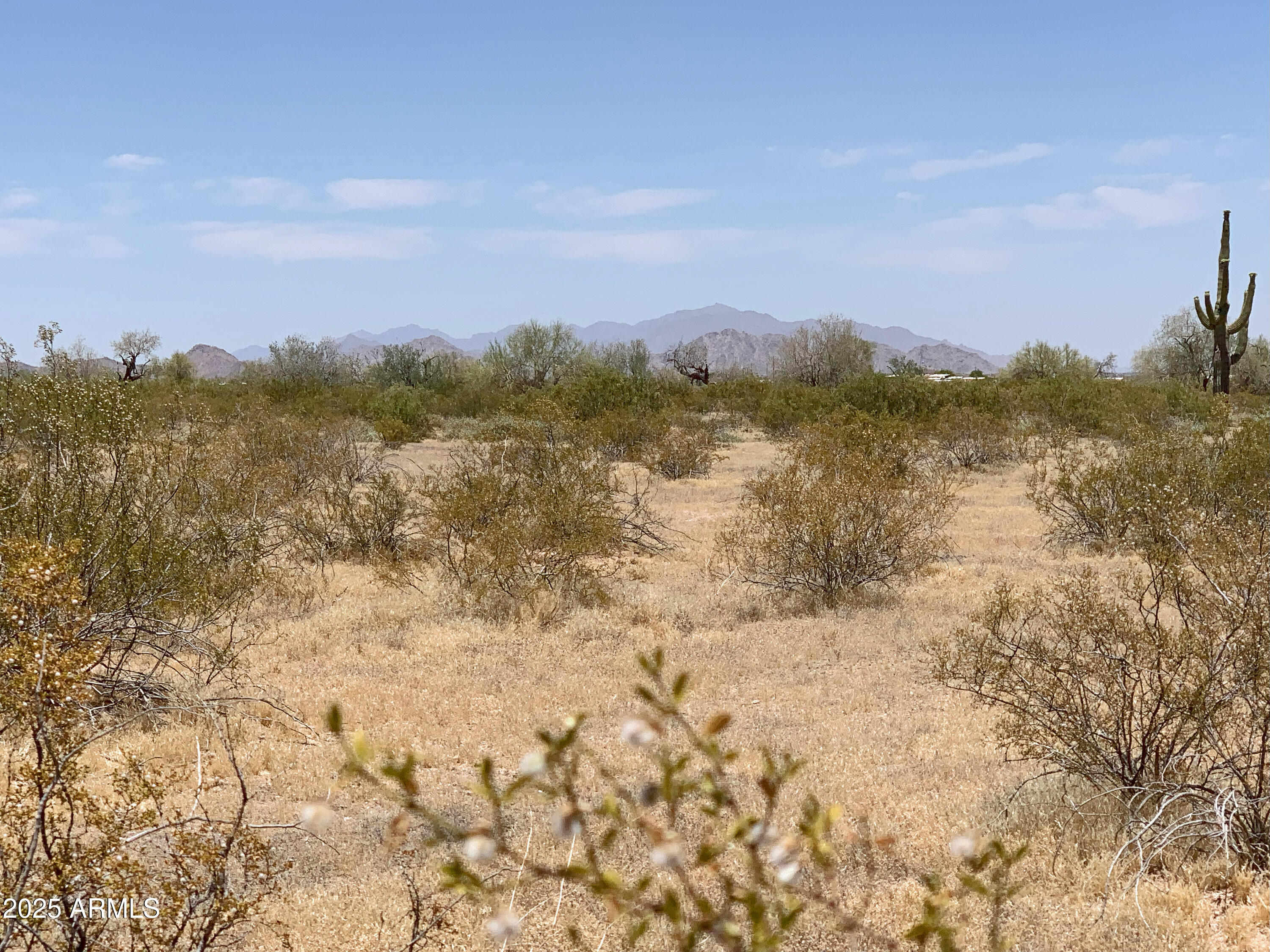 3 West Whirly Bird Road Maricopa, AZ 85139 - Photo 5 of 14 Pristine Desert Vegetation!