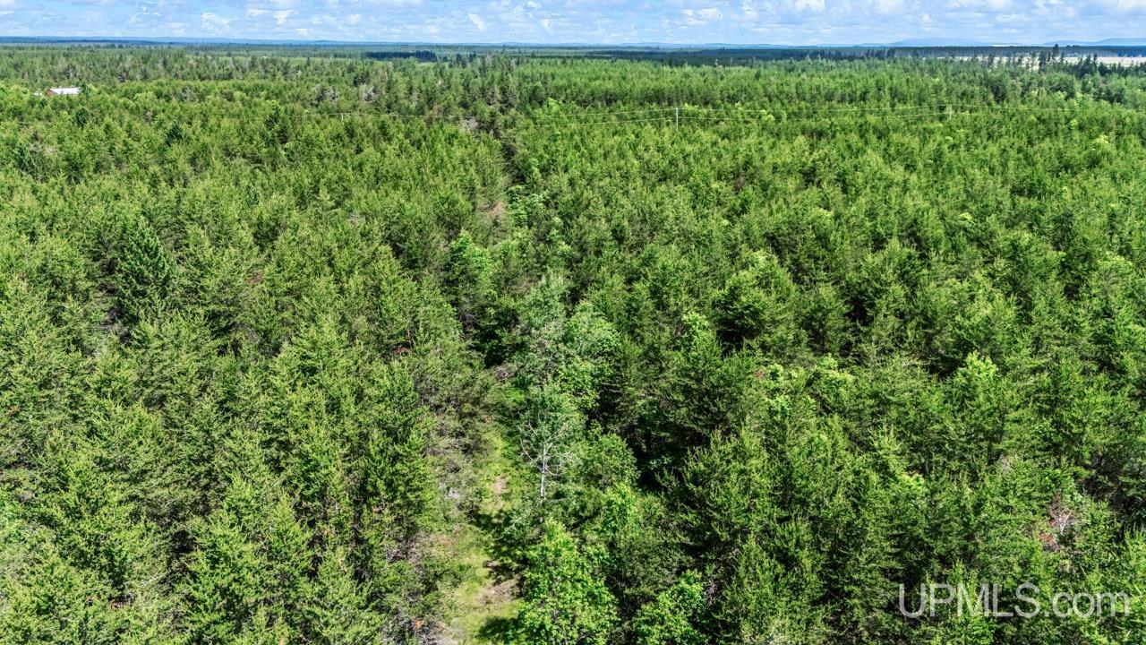 Tbd Bryan Creek Road Ishpeming, MI 49849 - Photo 11 of 16