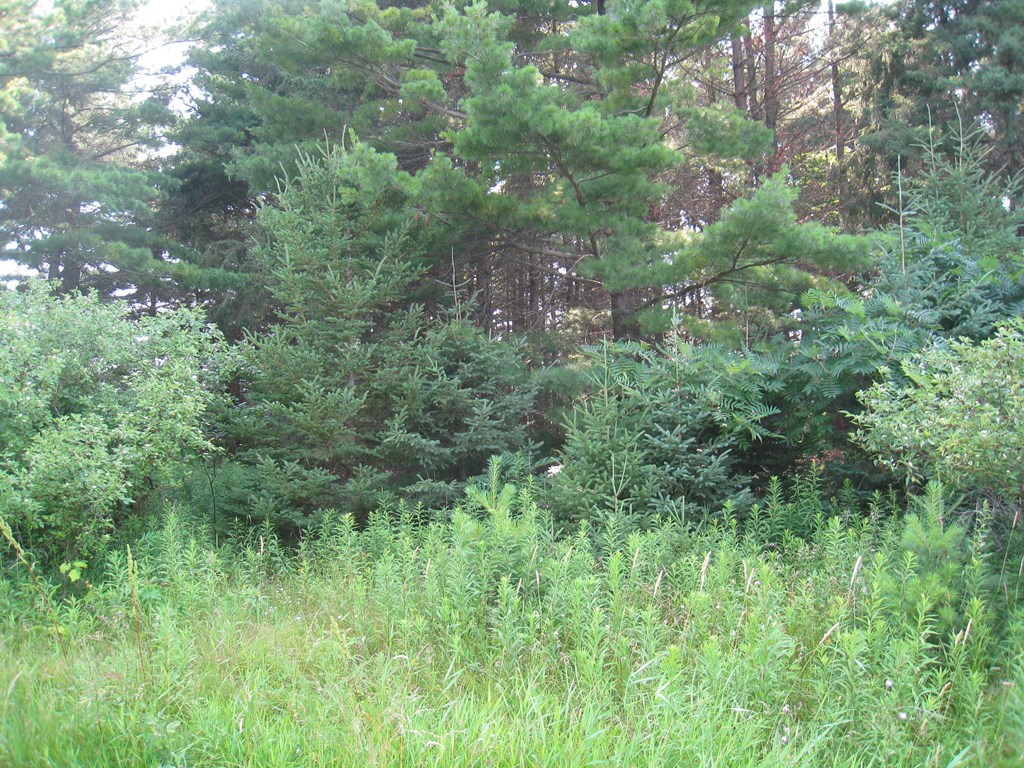 Lot 4 Hainesville Road Sturgeon Bay, WI 54235 - Photo 3 of 4