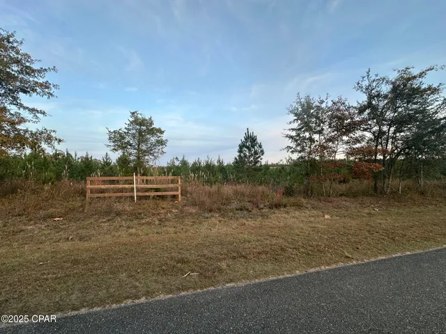 $199,000 | 0 Bright Prospect Road, Marianna, FL 32448