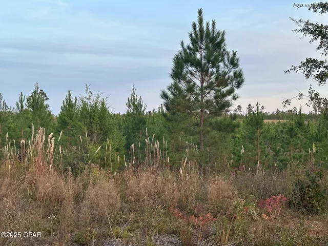 $199,000 | 0 Bright Prospect Road, Marianna, FL 32448