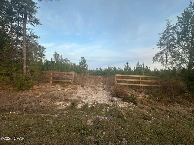 $199,000 | 0 Bright Prospect Road, Marianna, FL 32448