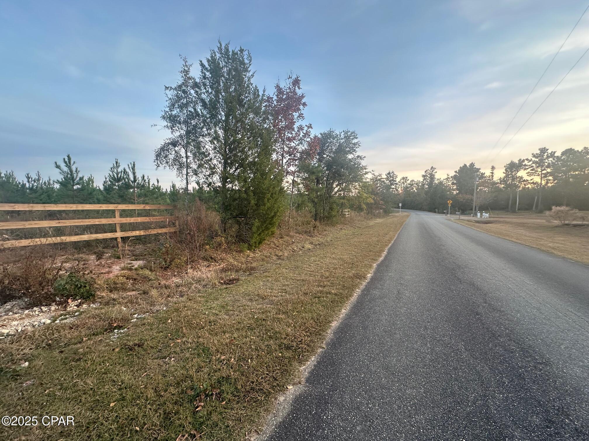 0 Bright Prospect Road Marianna, FL 32448 - Photo 4 of 10