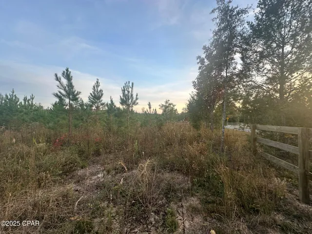 $199,000 | 0 Bright Prospect Road, Marianna, FL 32448