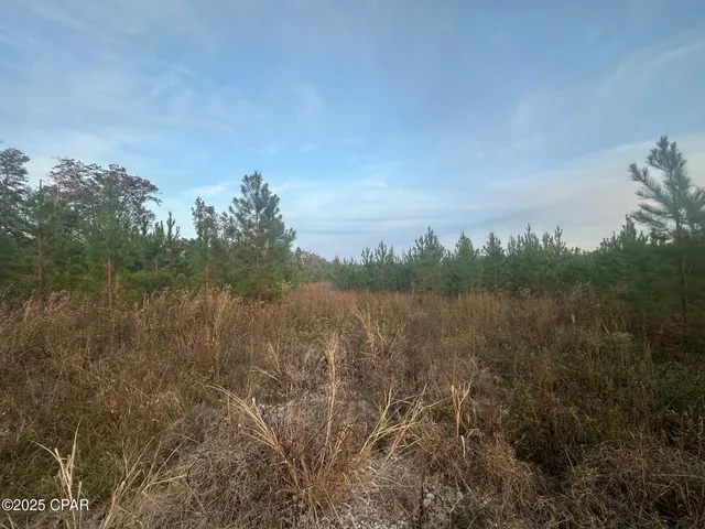 $199,000 | 0 Bright Prospect Road, Marianna, FL 32448