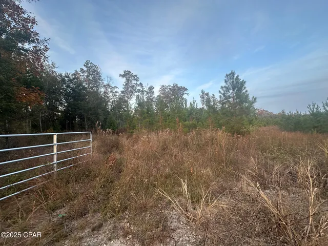 $199,000 | 0 Bright Prospect Road, Marianna, FL 32448