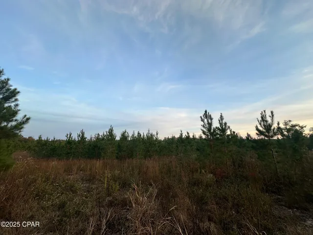 $199,000 | 0 Bright Prospect Road, Marianna, FL 32448