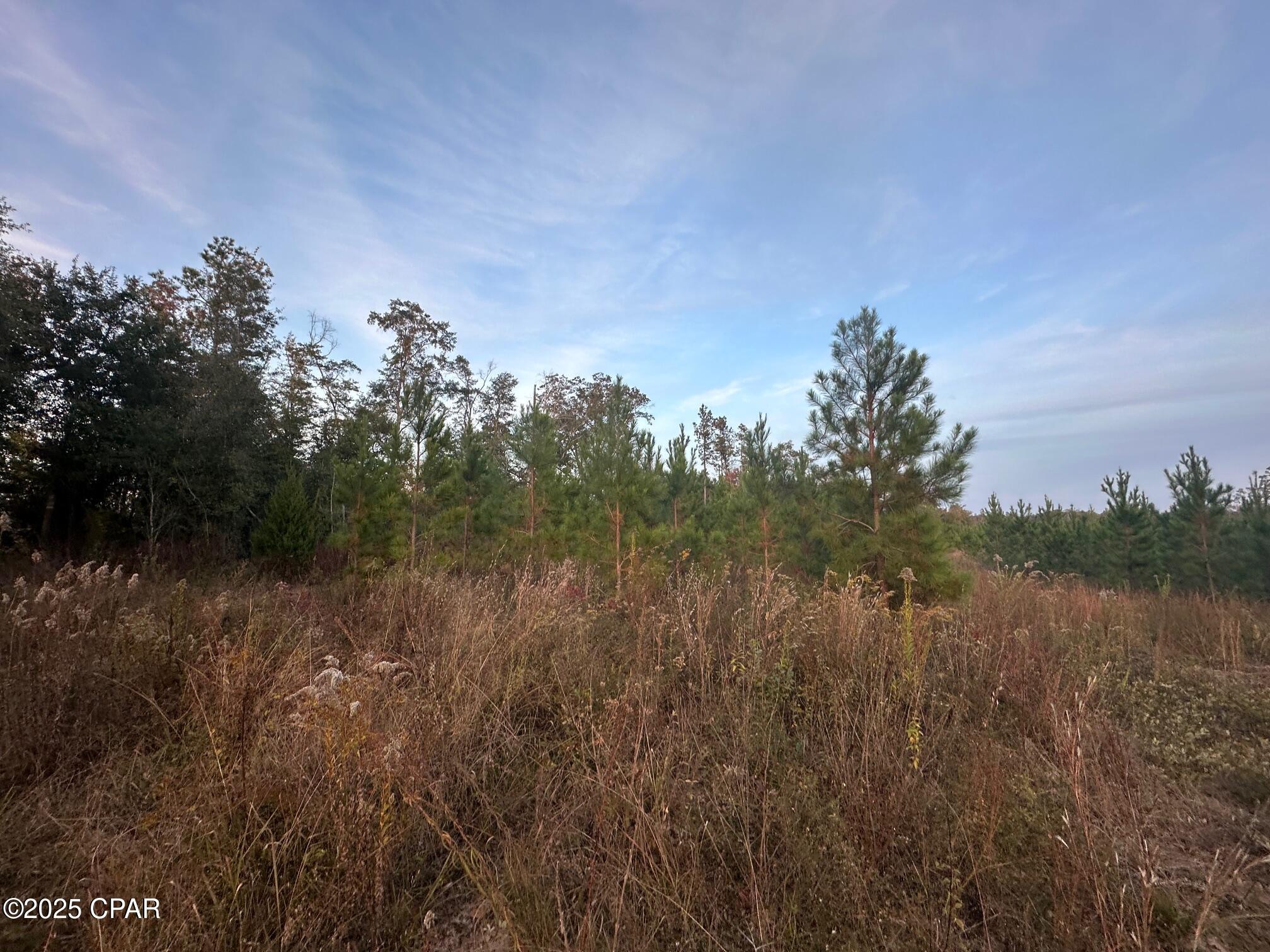 0 Bright Prospect Road Marianna, FL 32448 - Photo 9 of 10