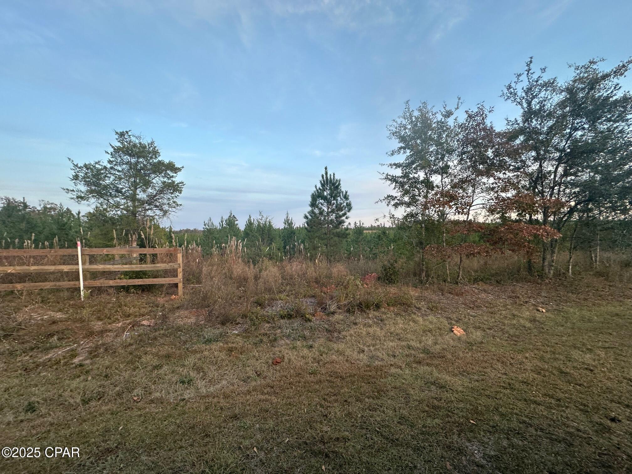 0 Bright Prospect Road Marianna, FL 32448 - Photo 10 of 10