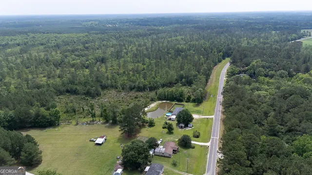 a view of a forest with a street