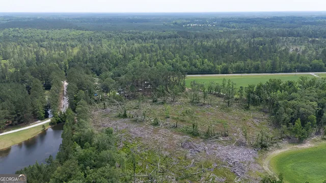 a view of a forest with a yard