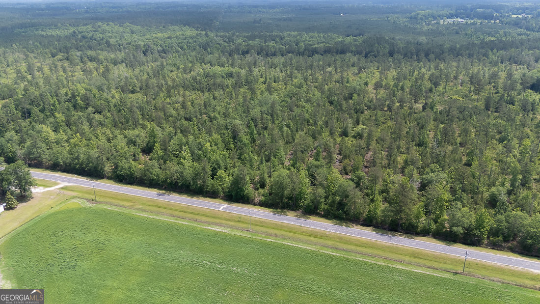 0 Old Louisville Road, Unit LOT 4 Guyton, GA 31312 - Photo 3 of 17 a view of a yard with a small space