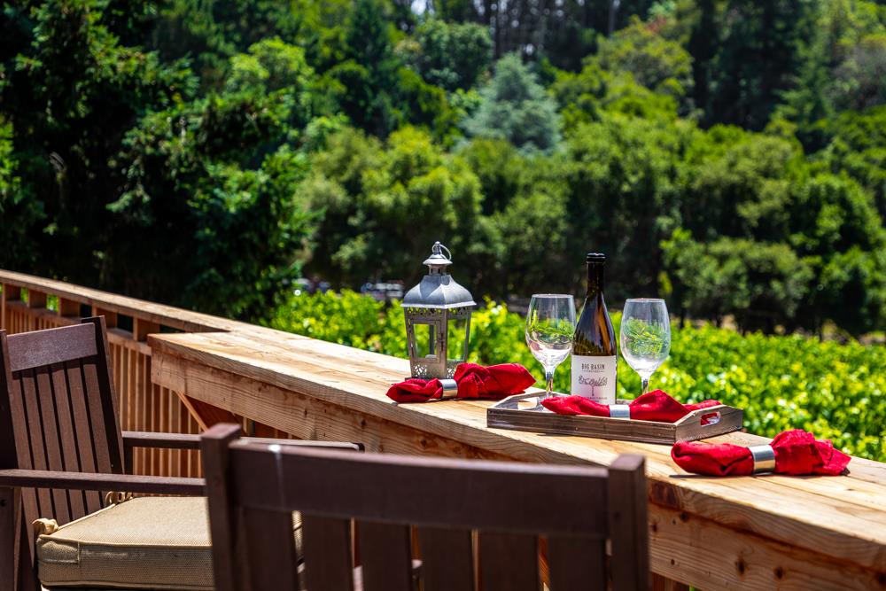 377 Brooktree Ranch Road Aptos, CA 95003 - Photo 36 of 50 a view of outdoor space yard and patio
