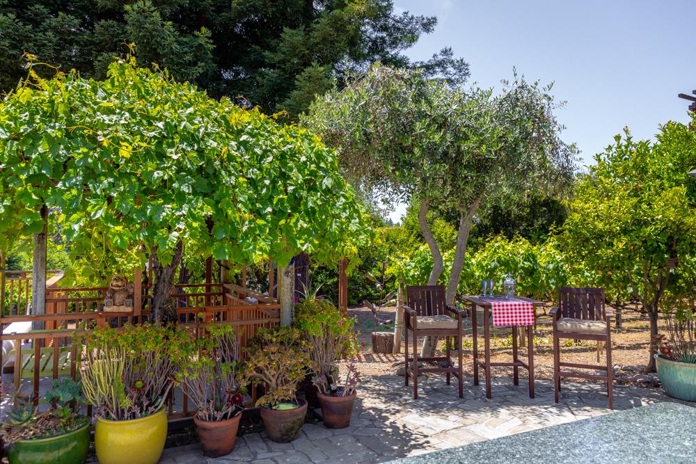 377 Brooktree Ranch Road Aptos, CA 95003 - Photo 37 of 50 a view of a patio with table and chairs potted plants and large tree