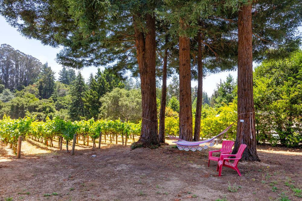 377 Brooktree Ranch Road Aptos, CA 95003 - Photo 39 of 50 a view of outdoor space with street view