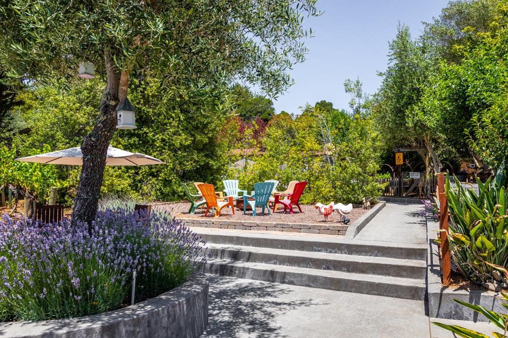 377 Brooktree Ranch Road Aptos, CA 95003 - Photo 41 of 50 a view of a bench in the garden