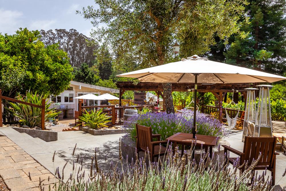 377 Brooktree Ranch Road Aptos, CA 95003 - Photo 45 of 50 a view of outdoor space yard and patio