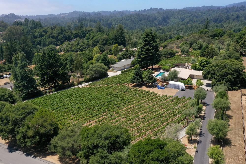 377 Brooktree Ranch Road Aptos, CA 95003 - Photo 47 of 50 an aerial view of a forest with houses