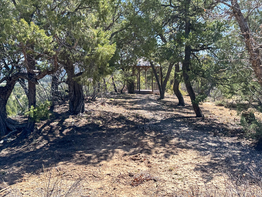 61 Rincon Road Counselor, NM 87018 - Photo 42 of 62 Gallery Image 42
