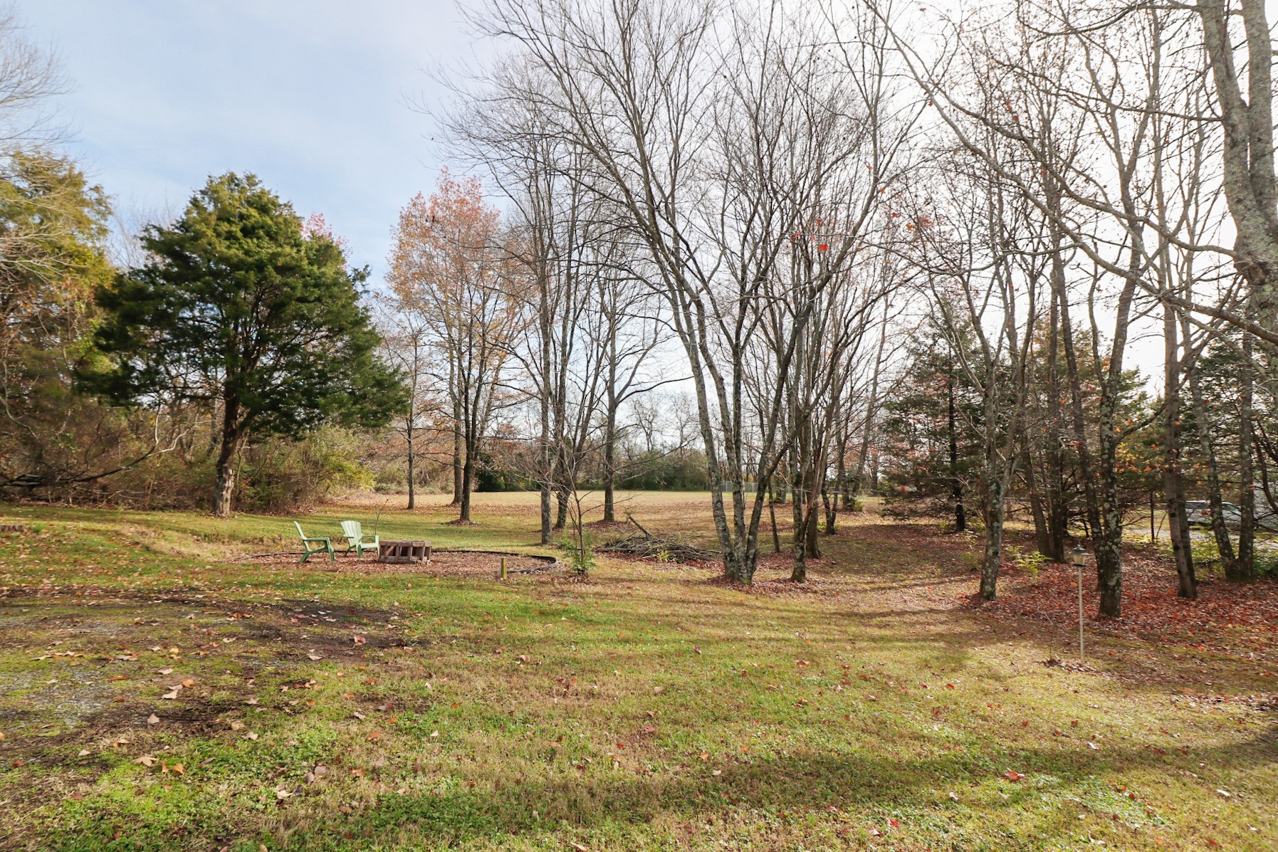 2279 South Williams Road Greenbrier, TN 37073 - Photo 27 of 28 a view of yard with trees