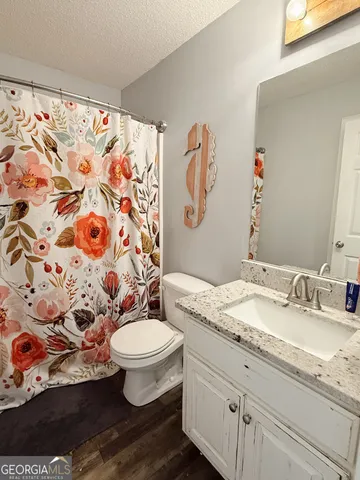 a bathroom with a granite countertop toilet sink and mirror