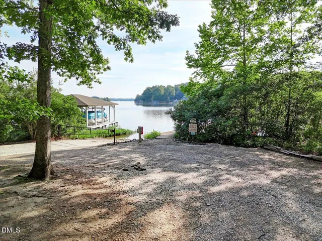 a view of a yard with plants and trees
