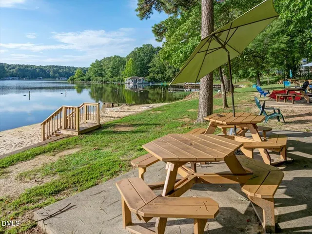 a view of a backyard with plants and a slide