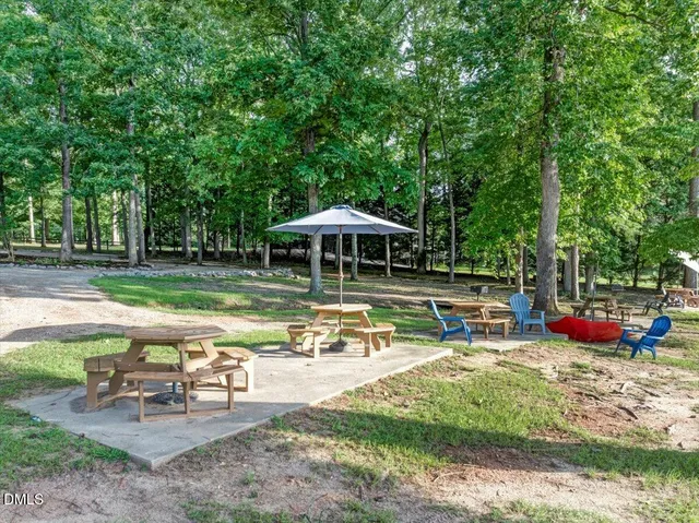 a view of a park with large trees