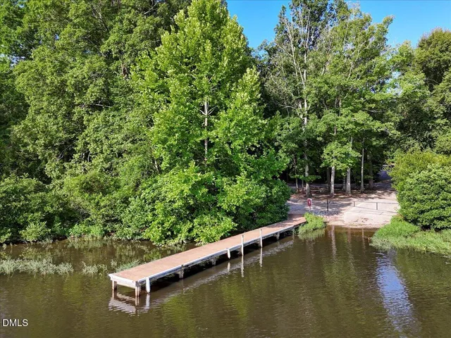 a view of a park with large trees