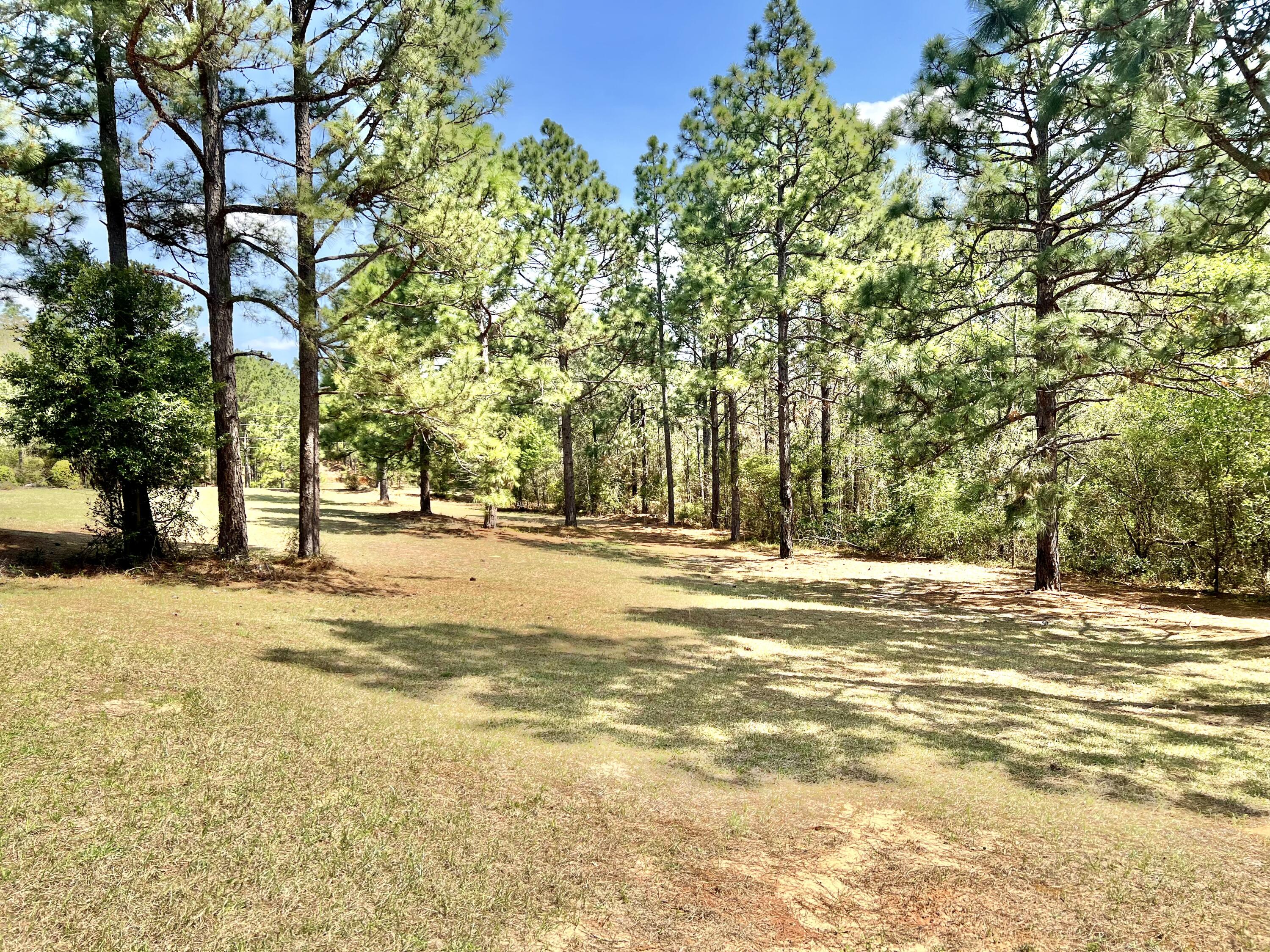 407 Old Bell Road Aiken, SC 29801 - Photo 18 of 23
