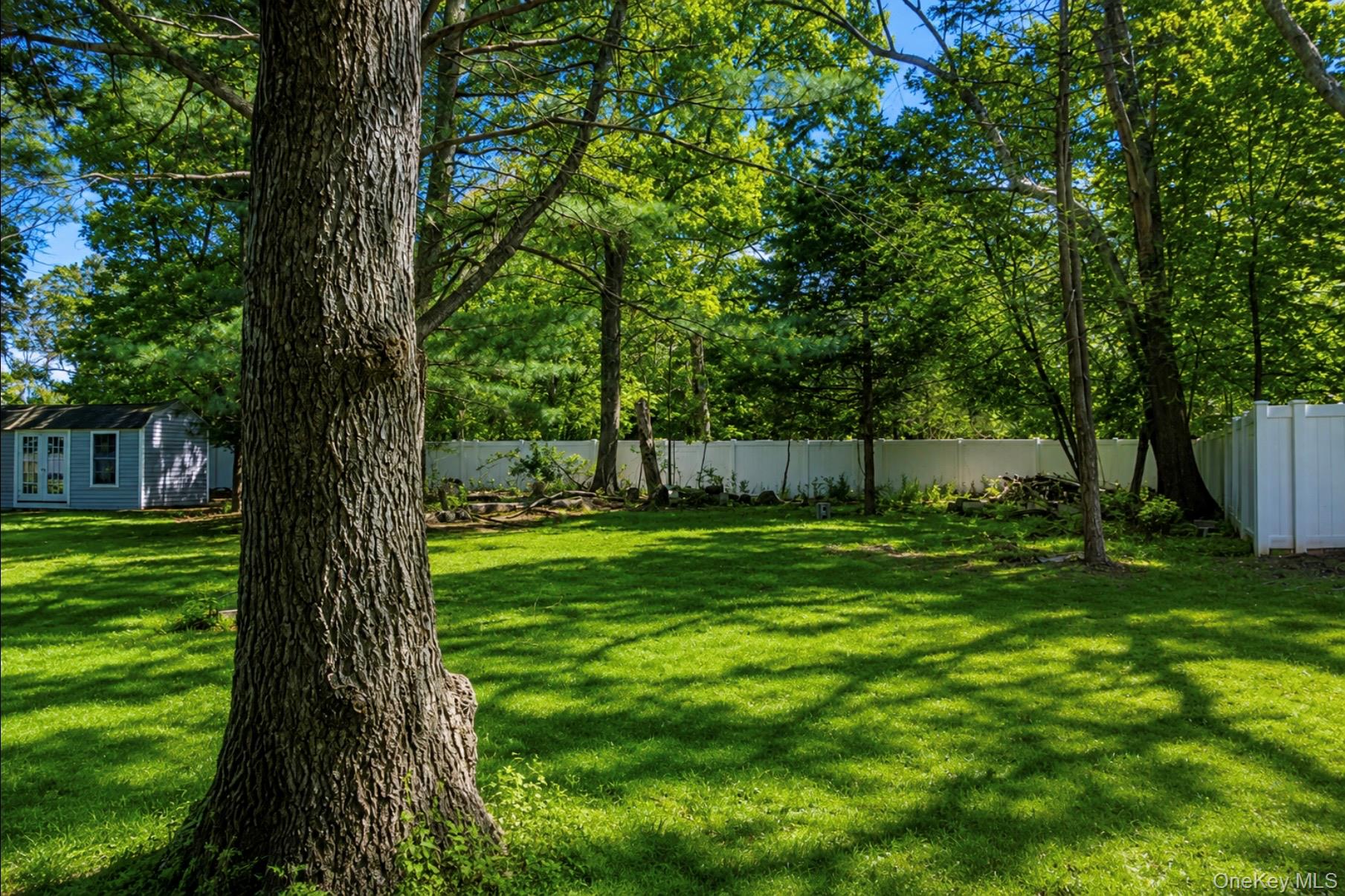 80 Mt Pleasant Road Smithtown, NY 11787 - Photo 25 of 27 a view of a trees in a yard